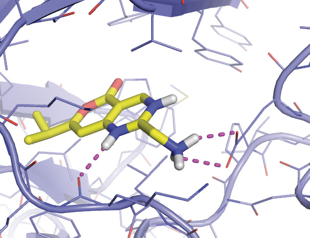 HIV reverse transcriptase with docked ligand close up view