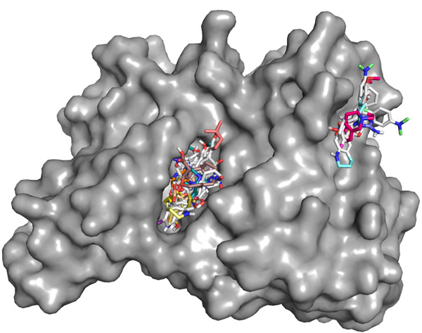 VcPpt 20 results from an in silico high-throughput screen