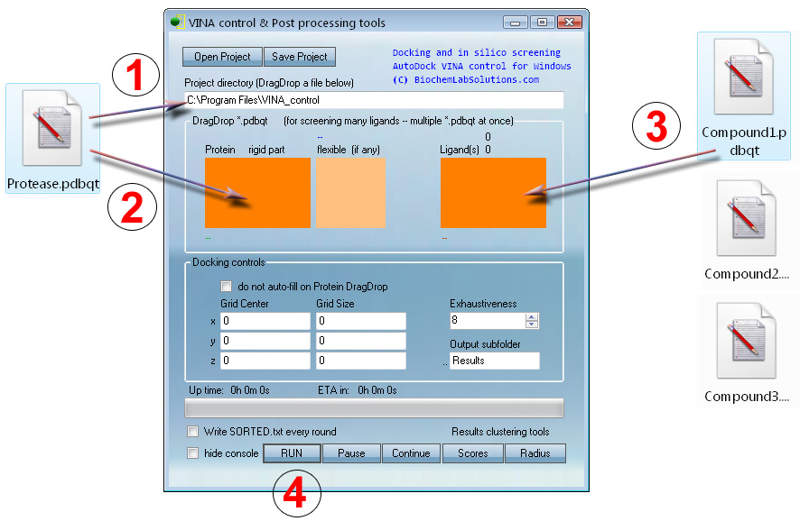 VcPpt in silico docking run setup