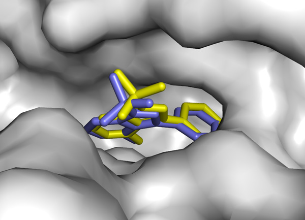Kinase inhibitor docked into a kinase active site